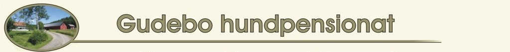 Gudebo hundpensionat